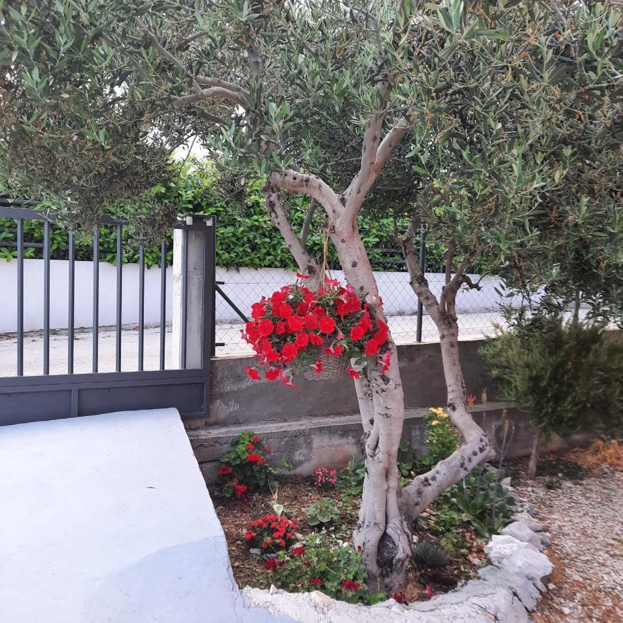 Studio Apartman Mare Trogir Exteriér fotografie
